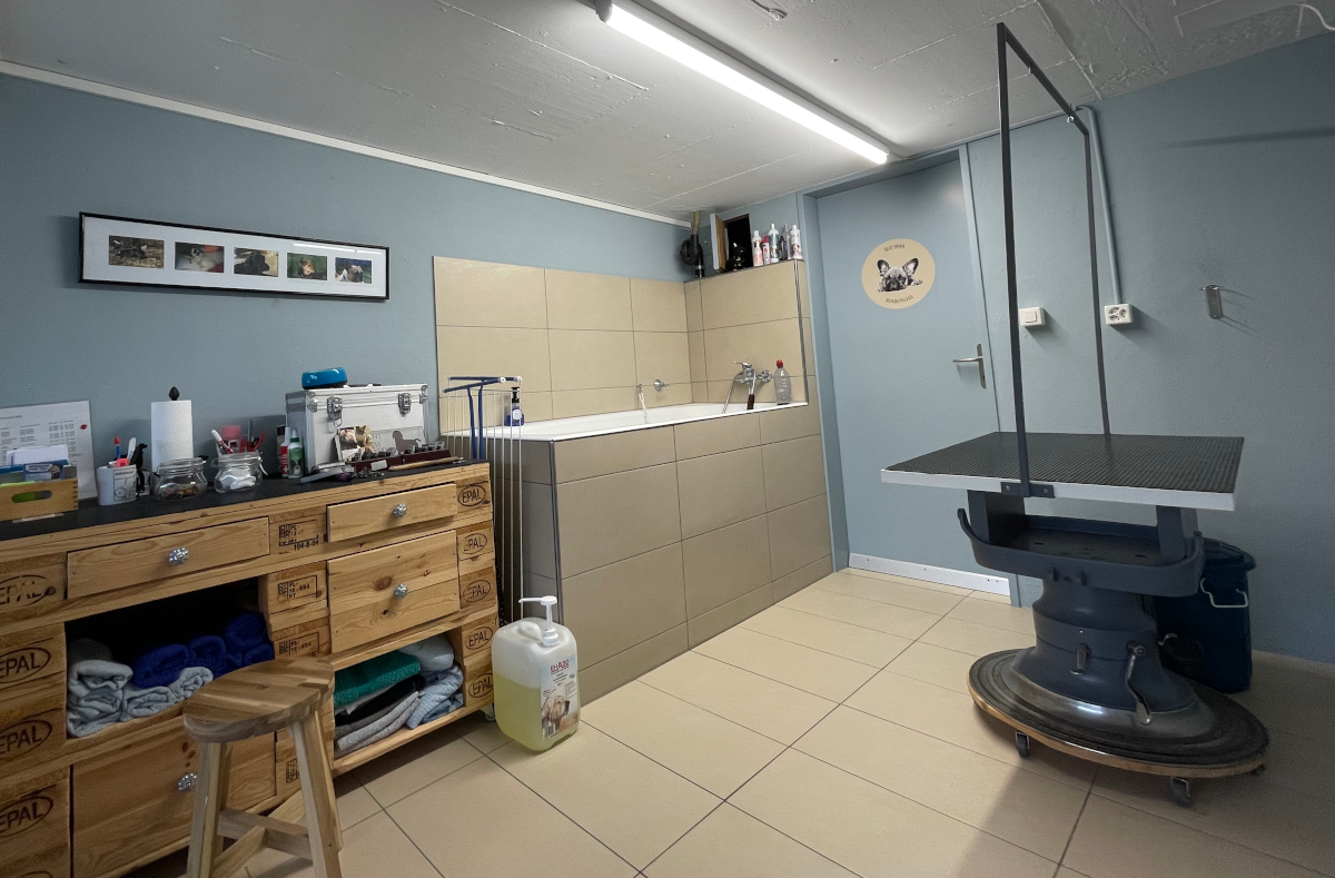 Hundesalon von Innnen Hundesalon von Innnen